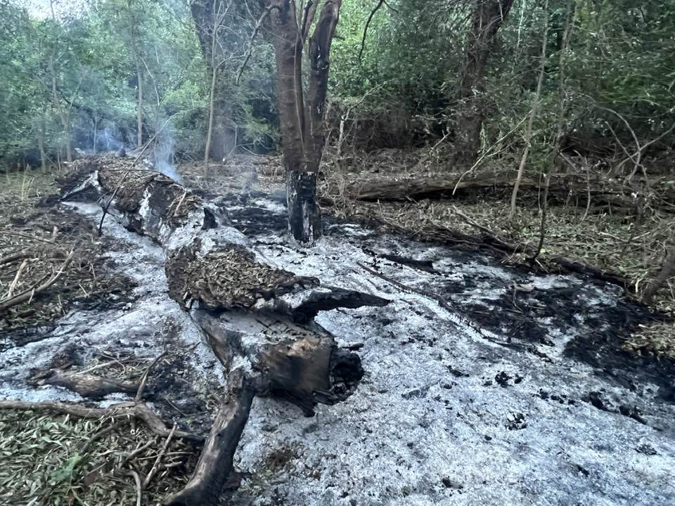 TULCEA: Resturi de drone rusești identificate lângă Plauru. În zona Niculițel nu au fost găsite indicii