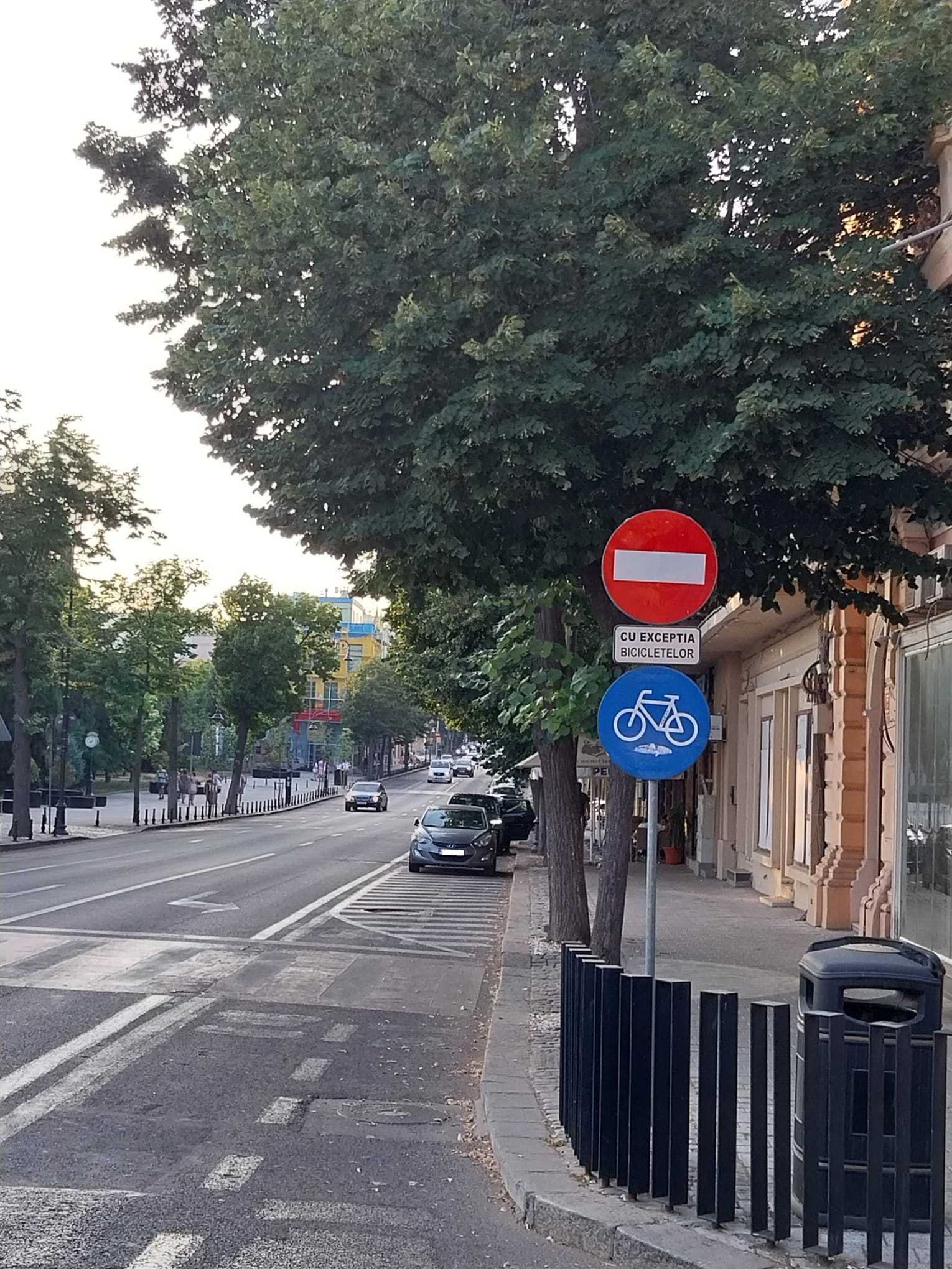 În urmă cu o lună a fost desfiinţată o porţiune din pista de bicicletă de pe bulevardul Tomis din Constanța. Indicatoarele care marcau prezența pistei și semaforul special sunt încă montate