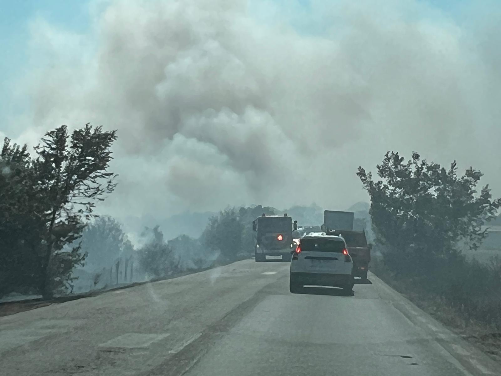 UPDATE/VIDEO: Incendiu de vegetație lângă azilul de bătrâni. Circulația rutieră și feroviară este oprită