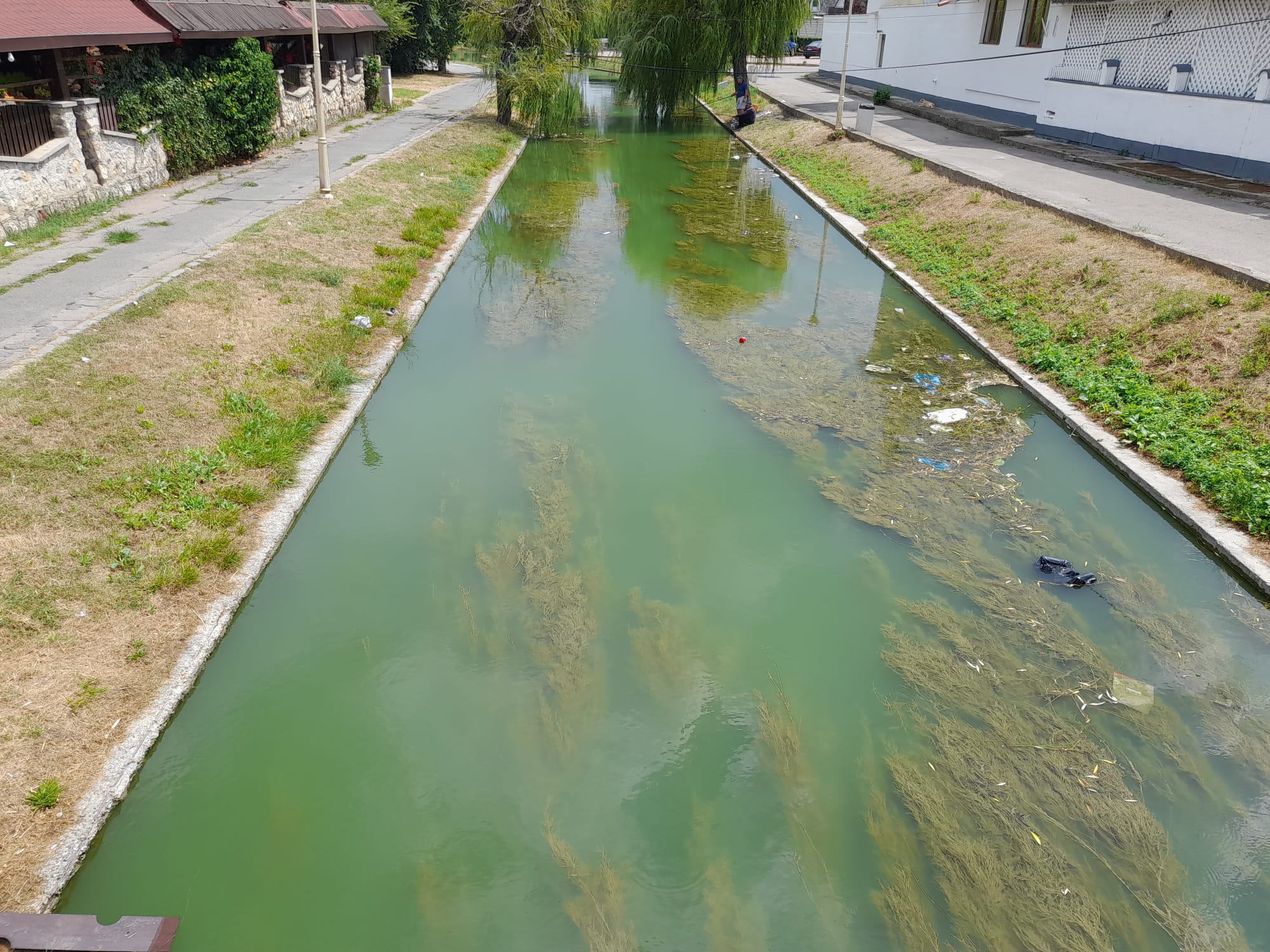 AUDIO: Satul de Vacanță – zonă de relaxare sau un ”spațiu foarte obositor”?