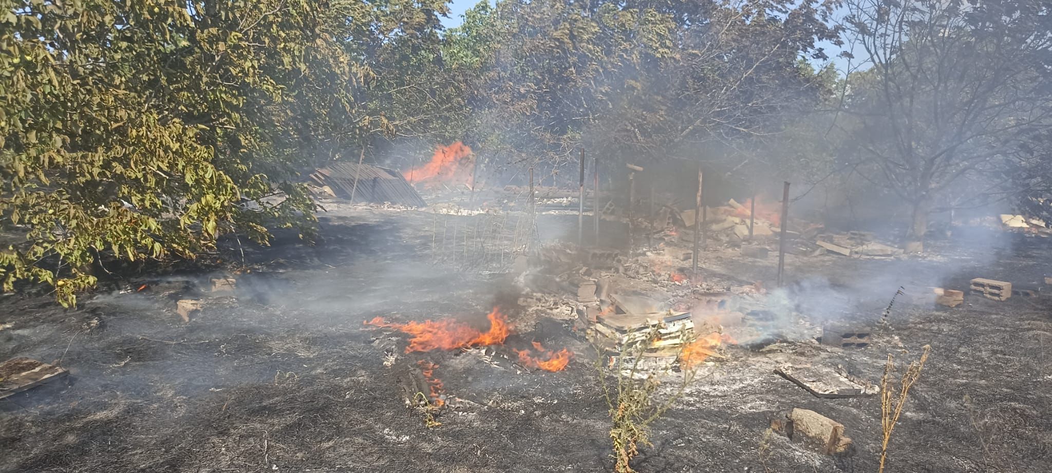 În cursul zilei de marţi, pompierii tulceni au intervenit în 19 situații de urgență