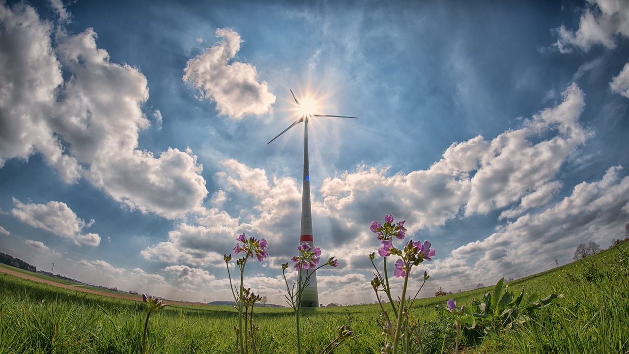 AUDIO | Ce resurse are la îndemână un antreprenor pentru a-și optimiza business-ul în privința cheltuielilor cu energia