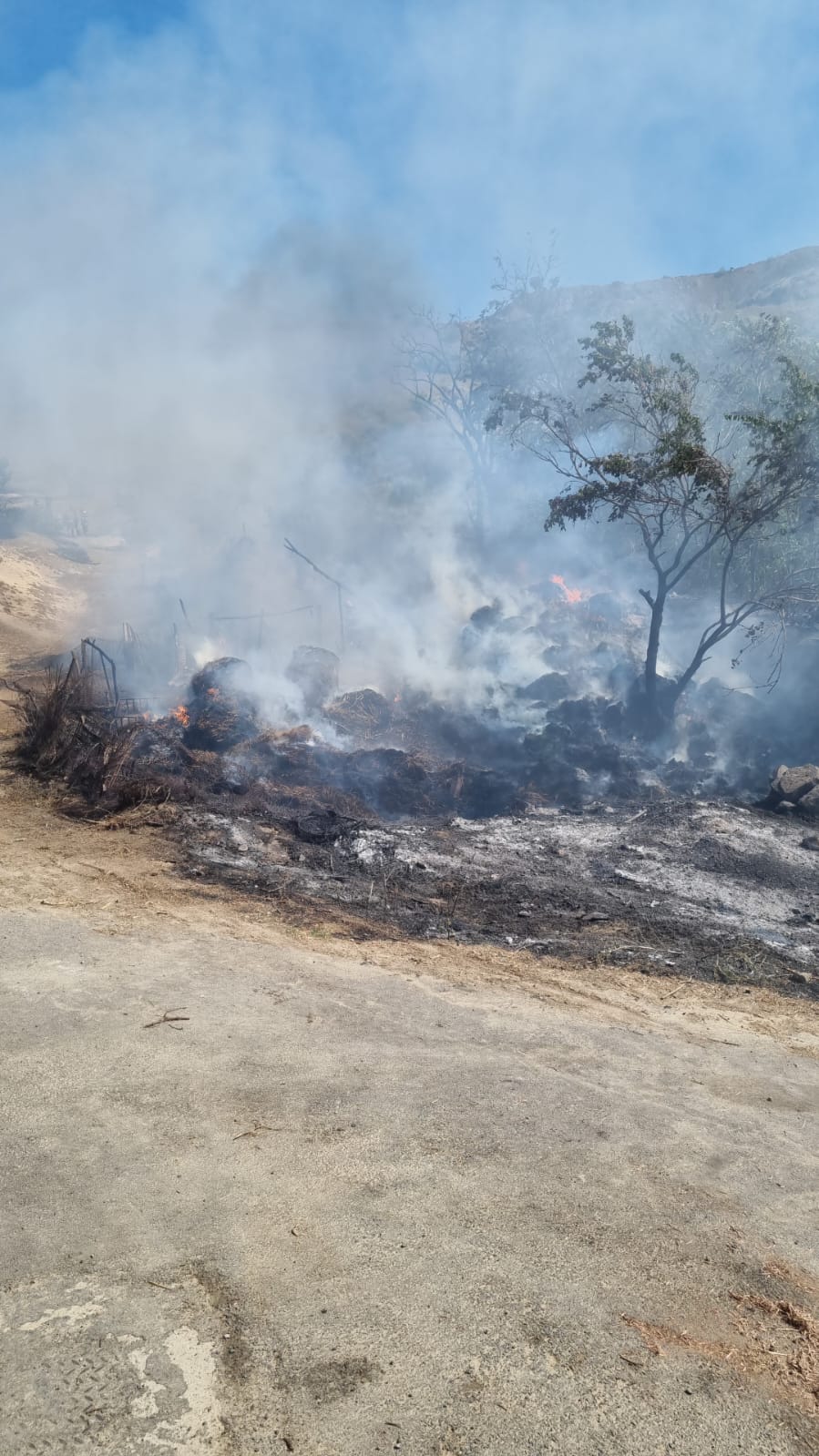 TULCEA: Incendiu de vegetație extins la un adăpost de animale. 22 de oi și capre au ars de vii