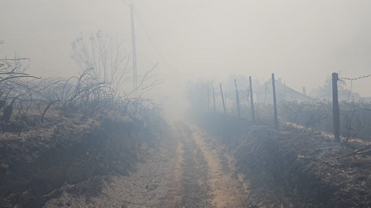 CONSTANȚA: Sute de hectare de vegetație, 20 de curți și 3 case au fost mistuite de flacări la Dunăreni