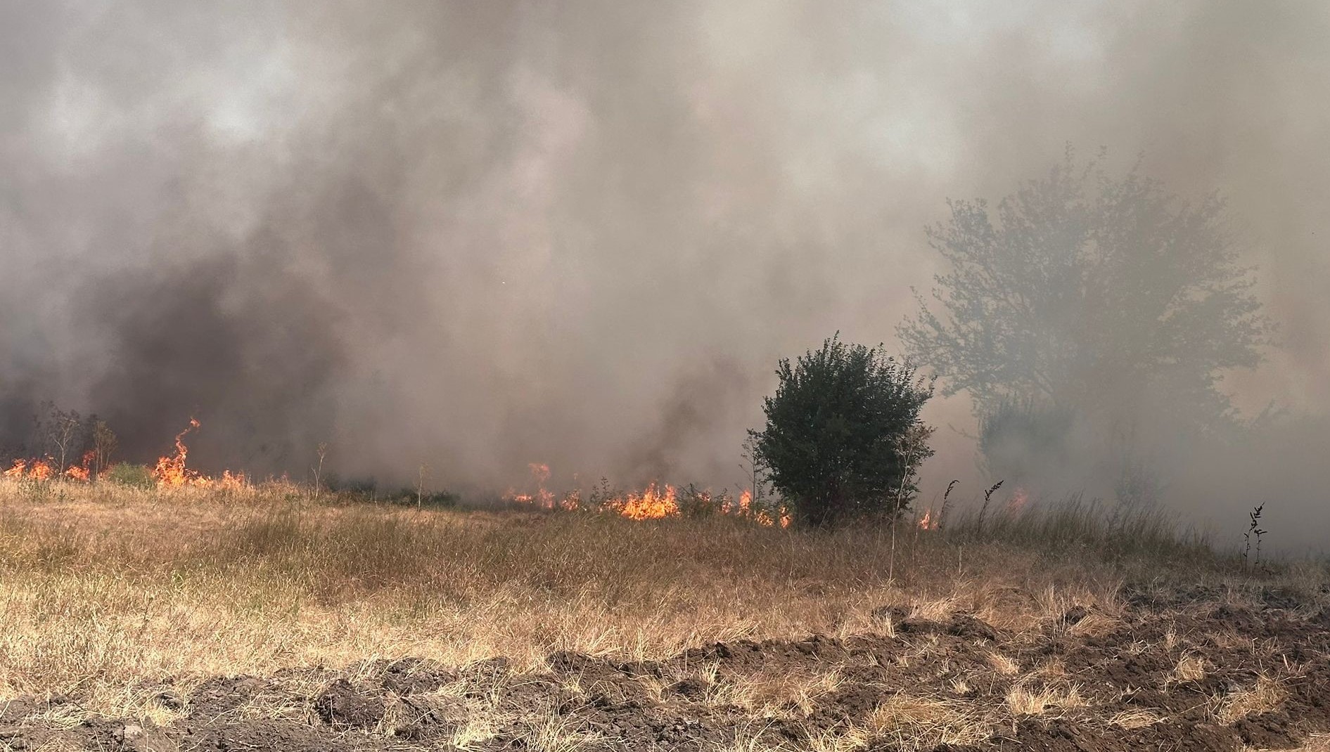 TULCEA: Doar opt persoane au sesizat anul trecut Garda de Mediu privind incendieri ilegale