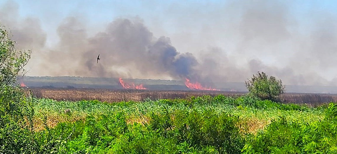 În iunie au avut loc mai multe incendii de vegetație decât în tot anul 2023