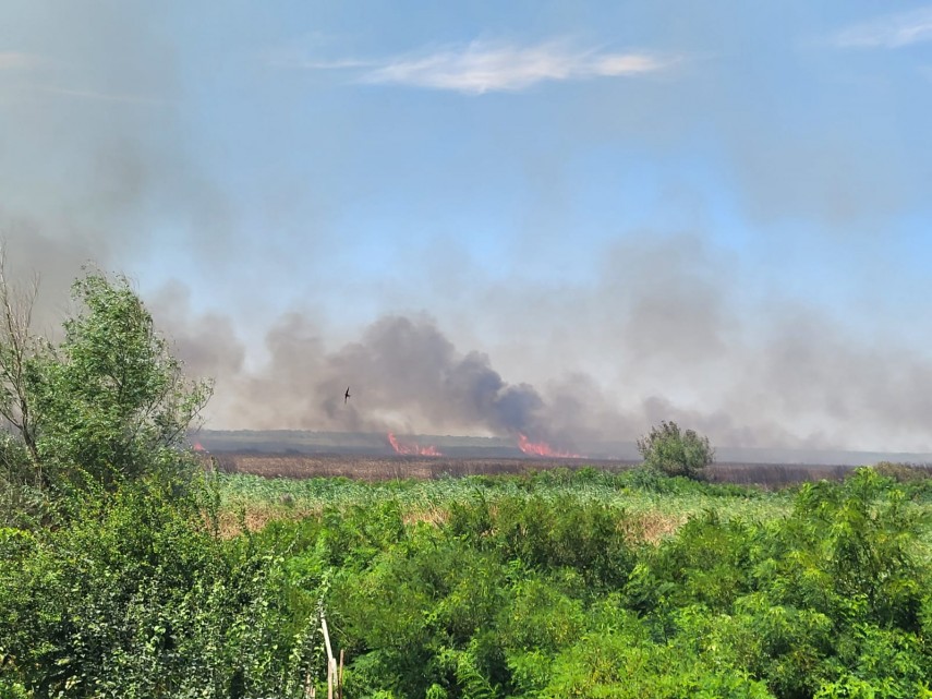 TULCEA: Incendiu în zona canalului Musura