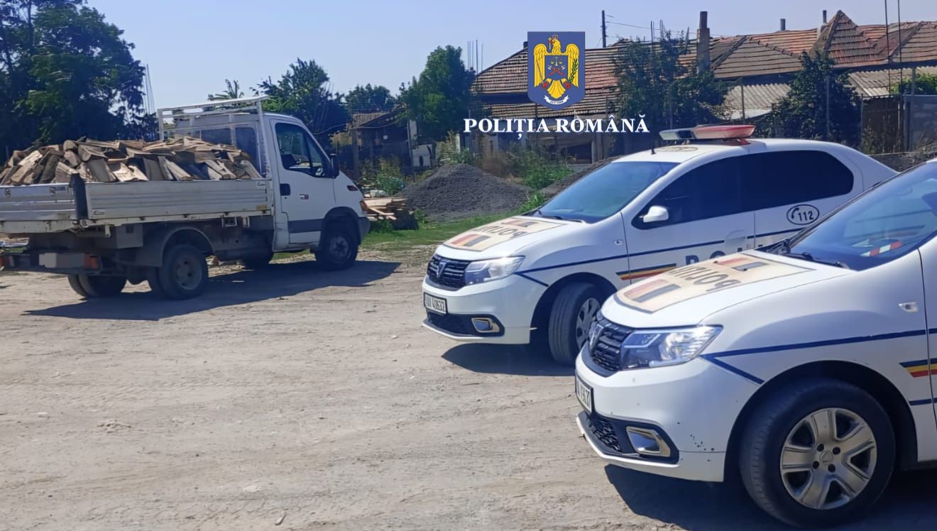 TECHIRGHIOL: Bărbat amendat cu 2.000 de lei pentru transport ilegal de lemne