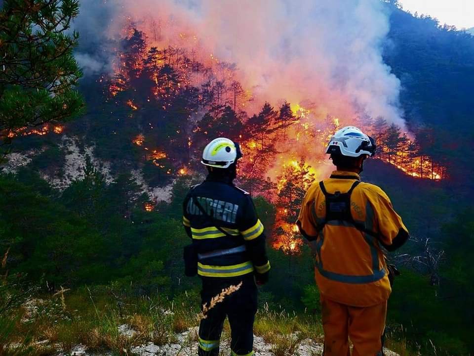 Incendiile de vegetație fac din nou ravagii în Grecia: 54 au izbucnit într-o singură zi