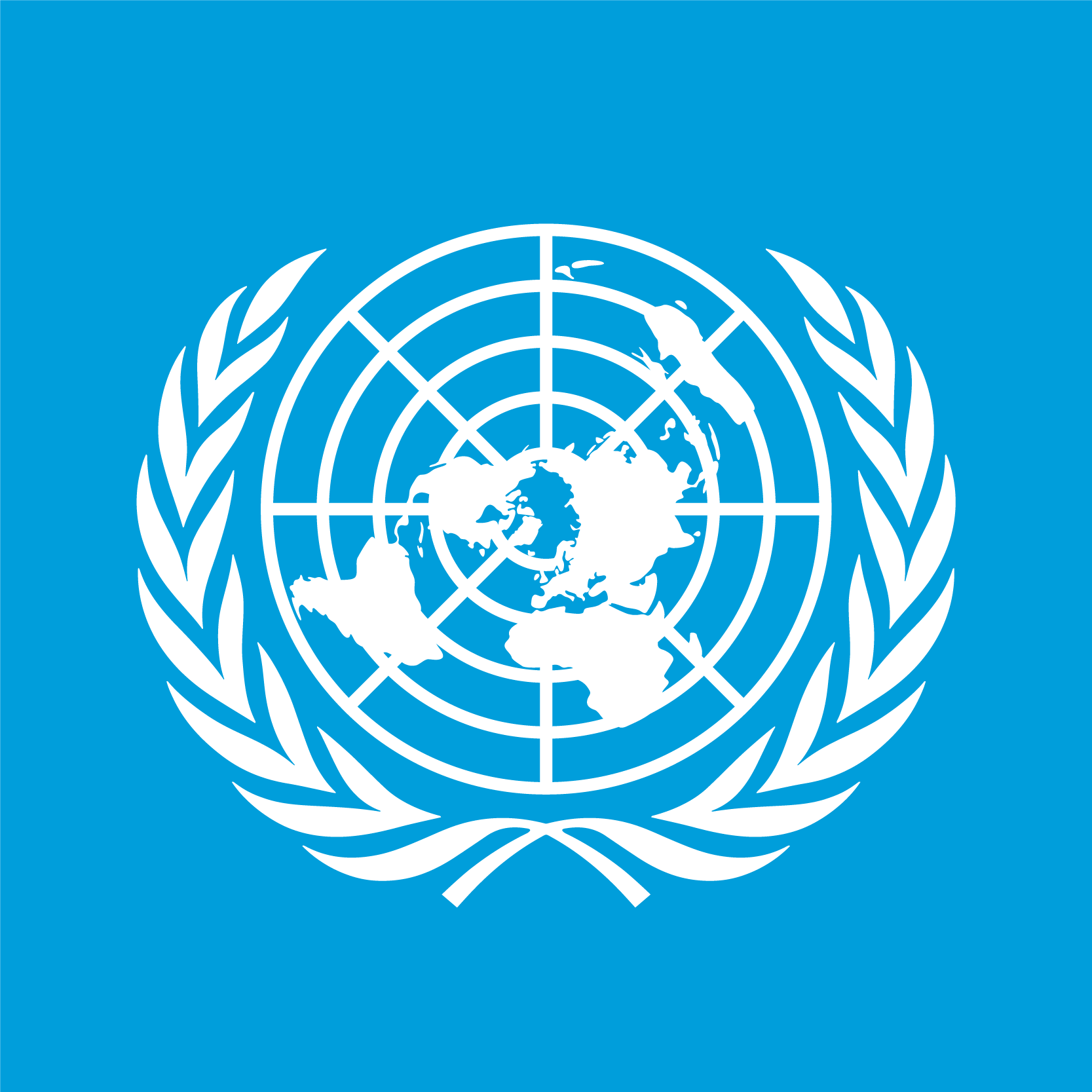 ONU adoptă primul său tratat împotriva criminalităţii informatice