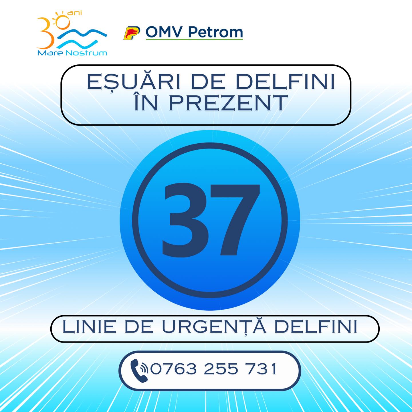 Aproape 40 de delfini au eşuat de la începutul anului