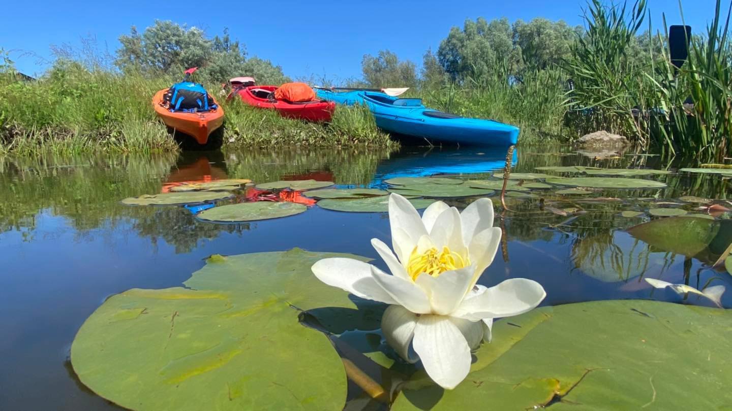 AUDIO/TULCEA: Plimbare sau chiar o expediție în Delta Dunării, cu caiacul