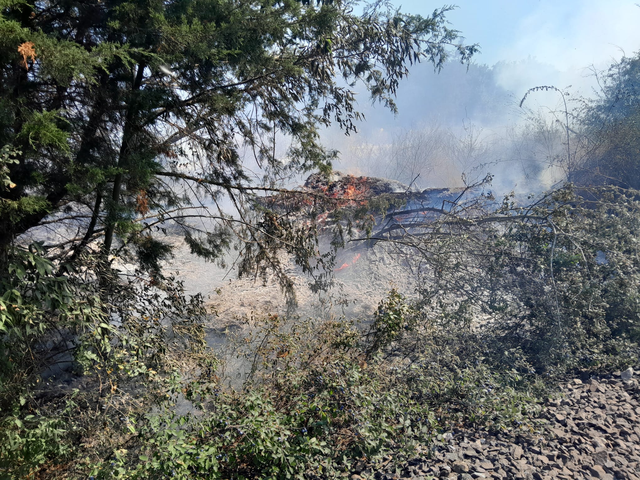 UPDATE: Trenurile care fac legătura cu Sudul litoralului au fost oprite din cauza unui incendiu puternic de vegetație