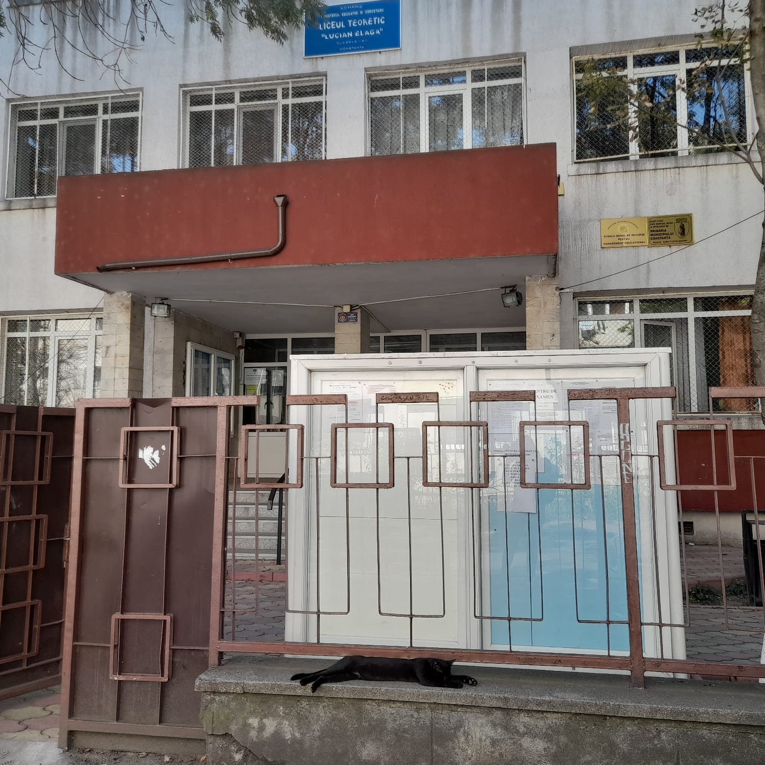 AUDIO | Rezultatele s-au lăsat așteptate la sesiunea din august a Bacalaureatului