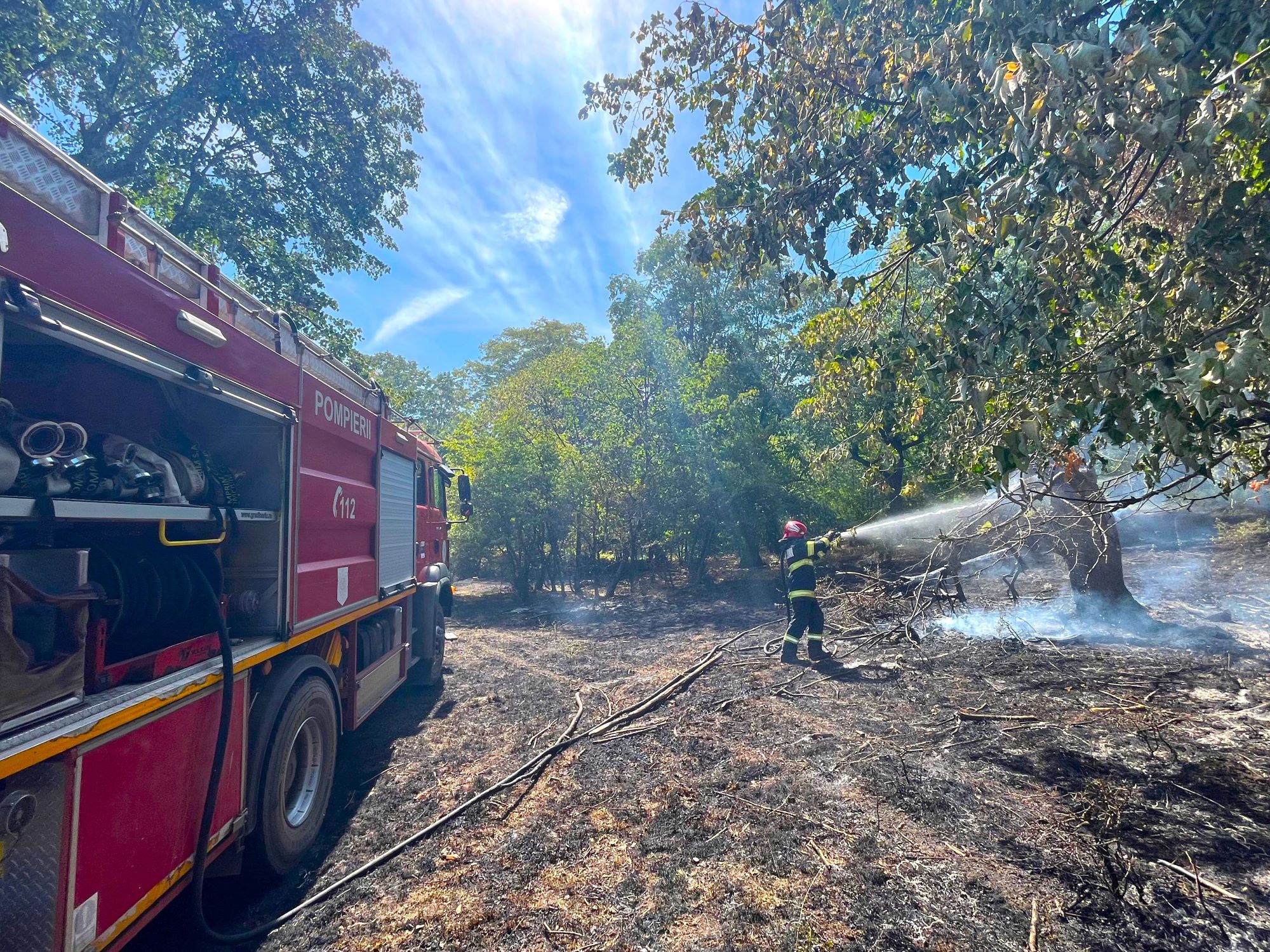 UPDATE | TULCEA: Peste 3,5 hectare de vegetație și pădure, mistuite de flăcări