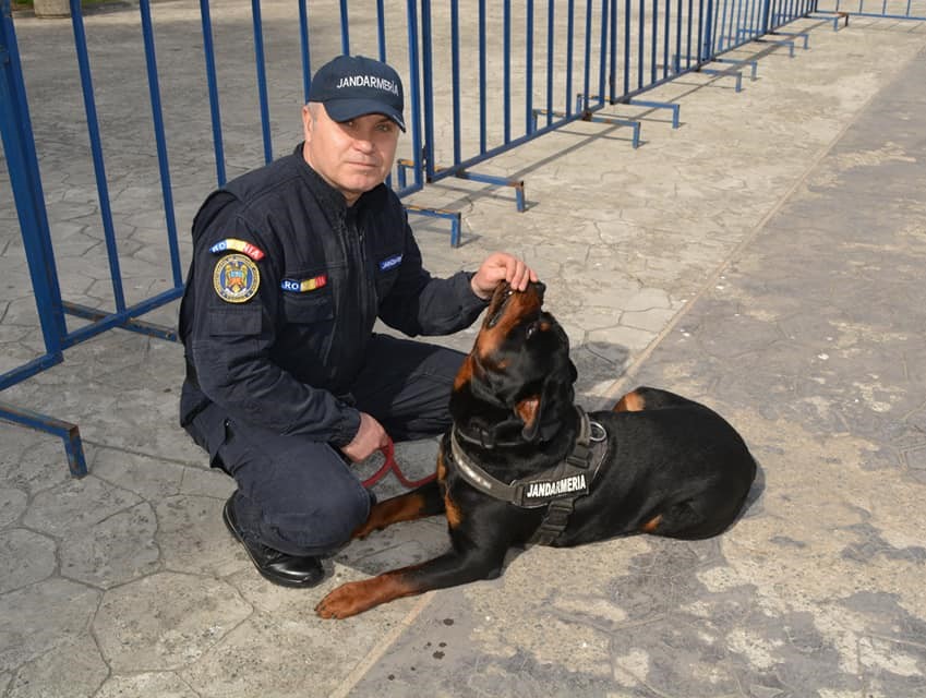 TULCEA: Festivalul Enisala, Festivalul Diversității de la Mahmudia și Caravana filmului românesc au loc în acest weekend