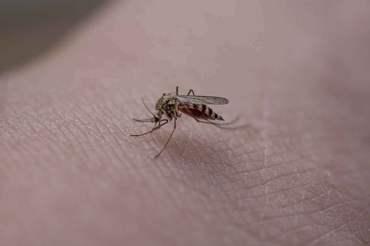 Un pacient infectat cu virusul West Nile a murit la Spitalul de Urgenţă din Suceava