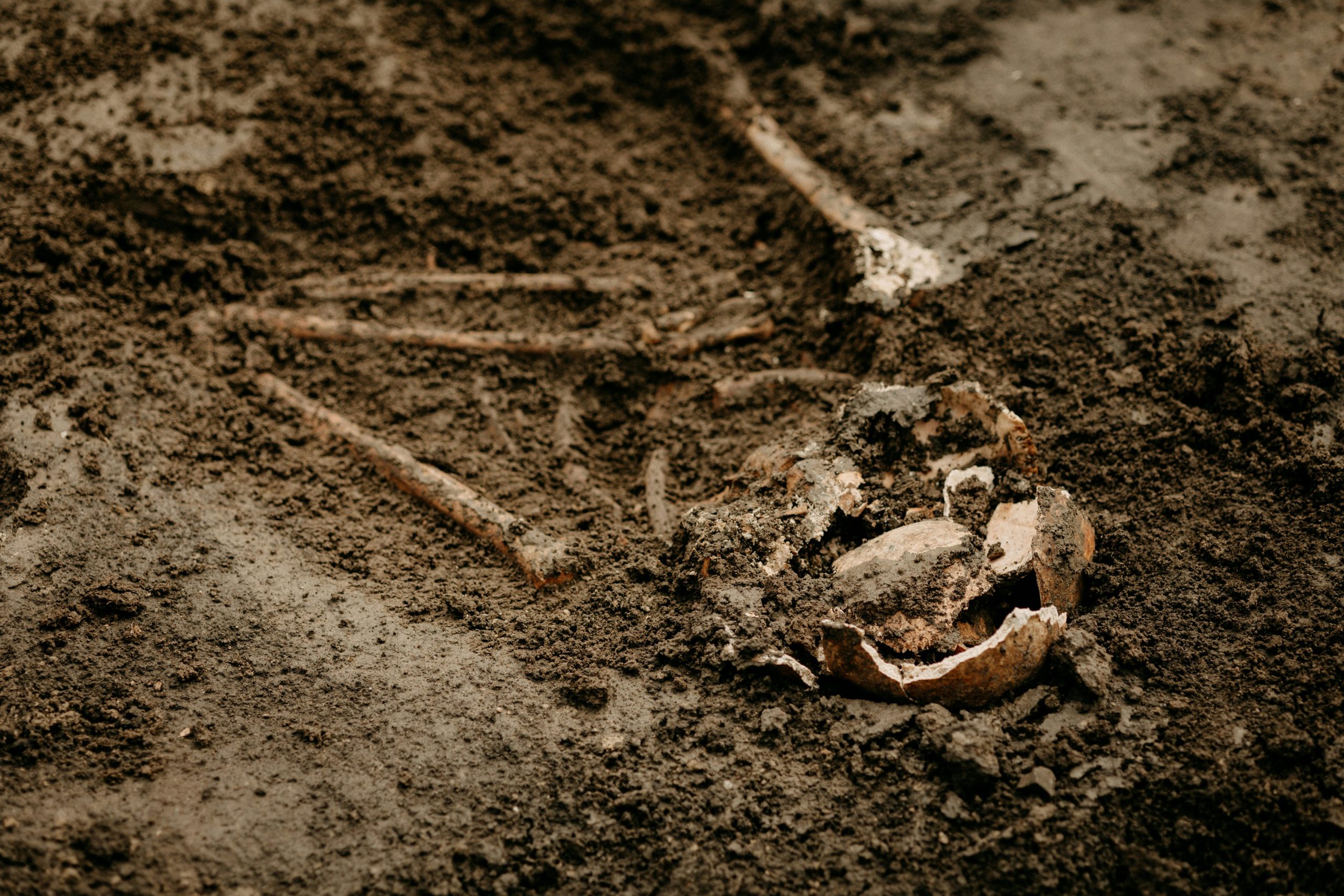 Rămăşiţele a două victime ale erupţiei Vezuviului din anul 79, descoperite de arheologi la Pompei