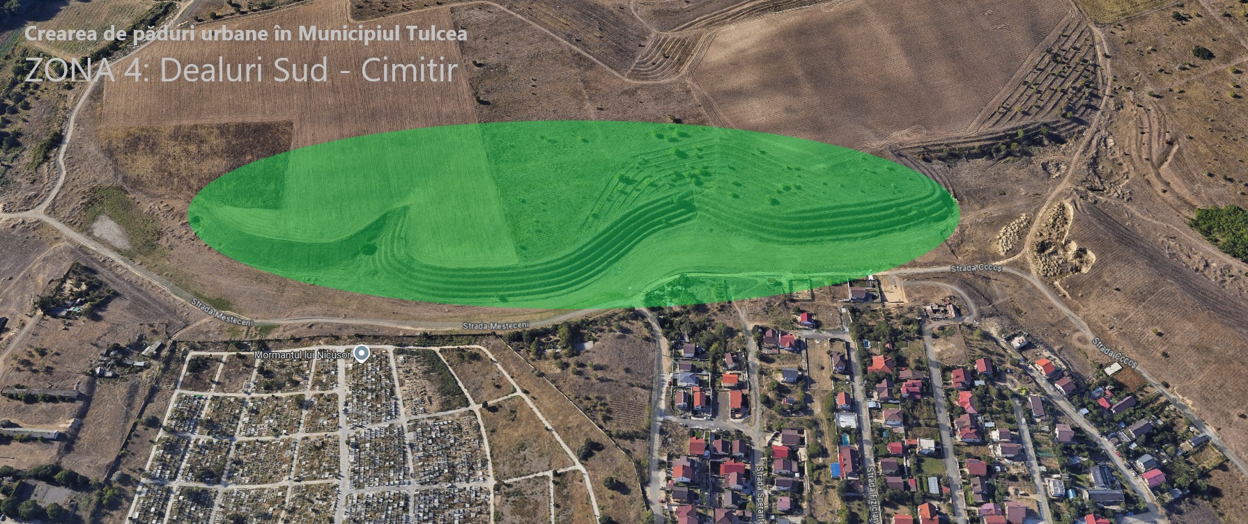 TULCEA: S-a semnat contractul de finanţare pentru cea mai mare pădure urbană din România