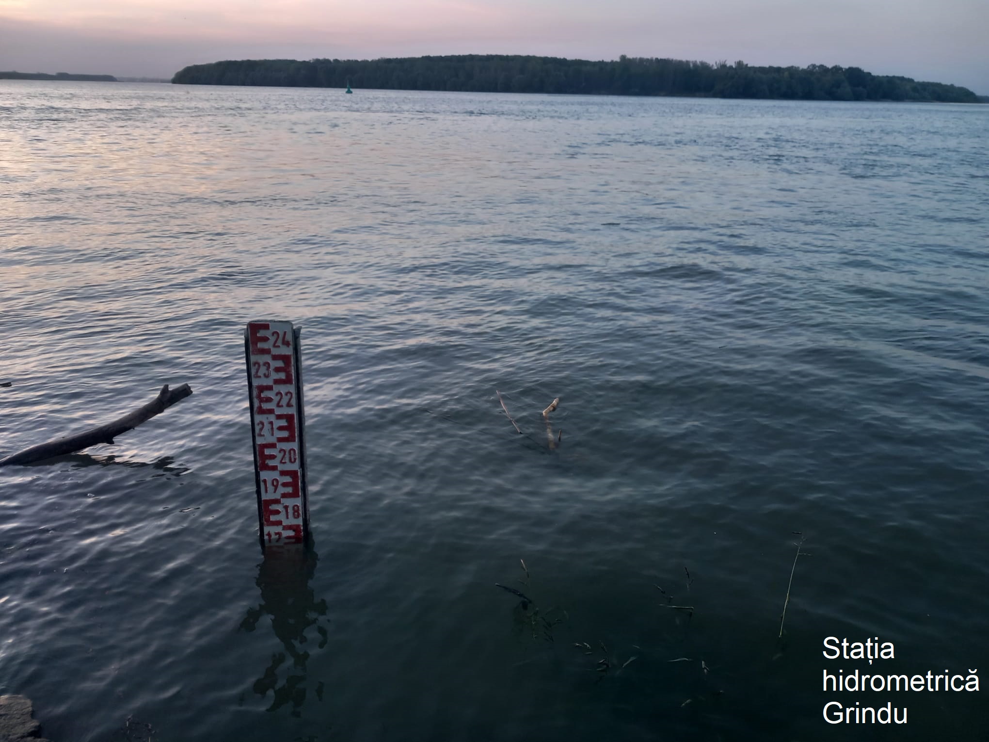 Apele Române monitorizează sectorul Dunării din bazinul hidrografic Dobrogea