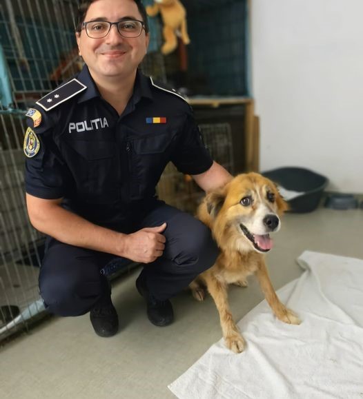 FOTO | Imagini noi cu Paky, cățelul salvat de polițiști din mâinile stăpânului care l-a târât legat de mașină