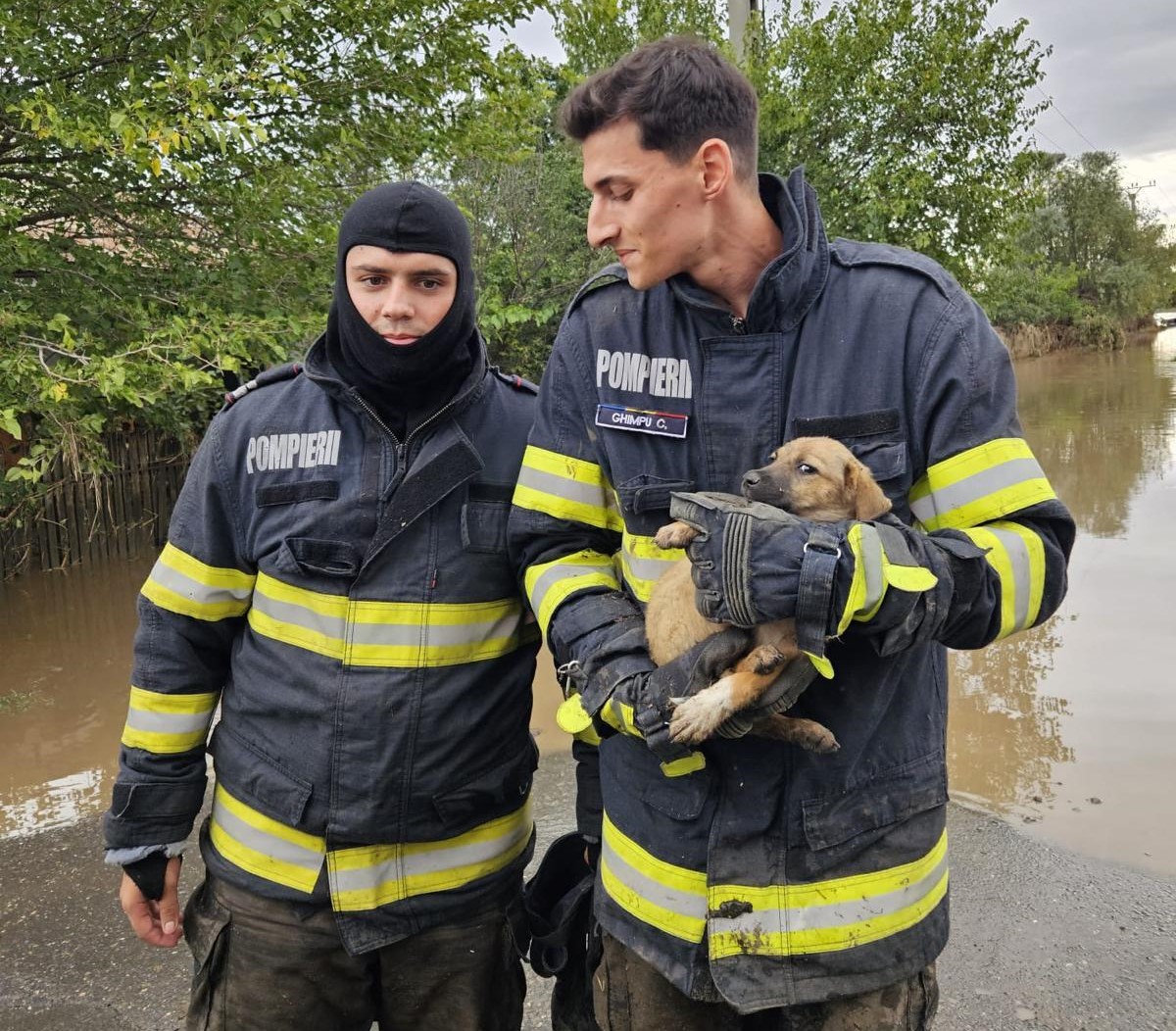 GALAȚI: O persoană dispărută în urma viiturilor a fost găsită teafără. Pompierii au salvat și un cățel dintr-o casă inundată