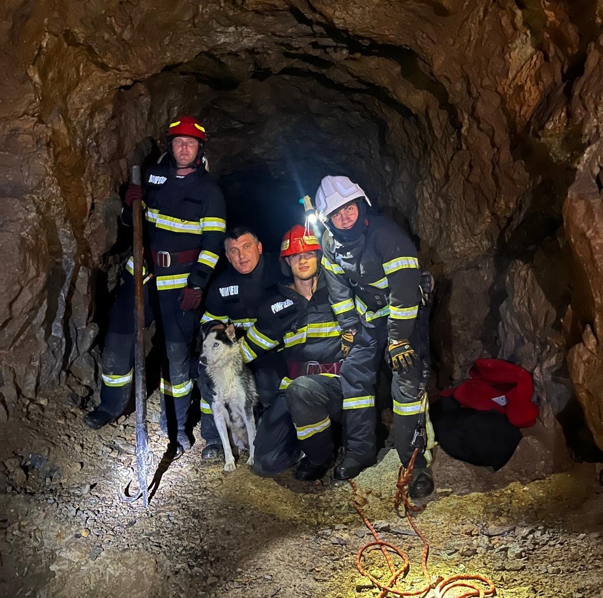 FOTO-VIDEO | Pompierii tulceni au salvat o cățelușă căzută într-o groapă de 10 metri