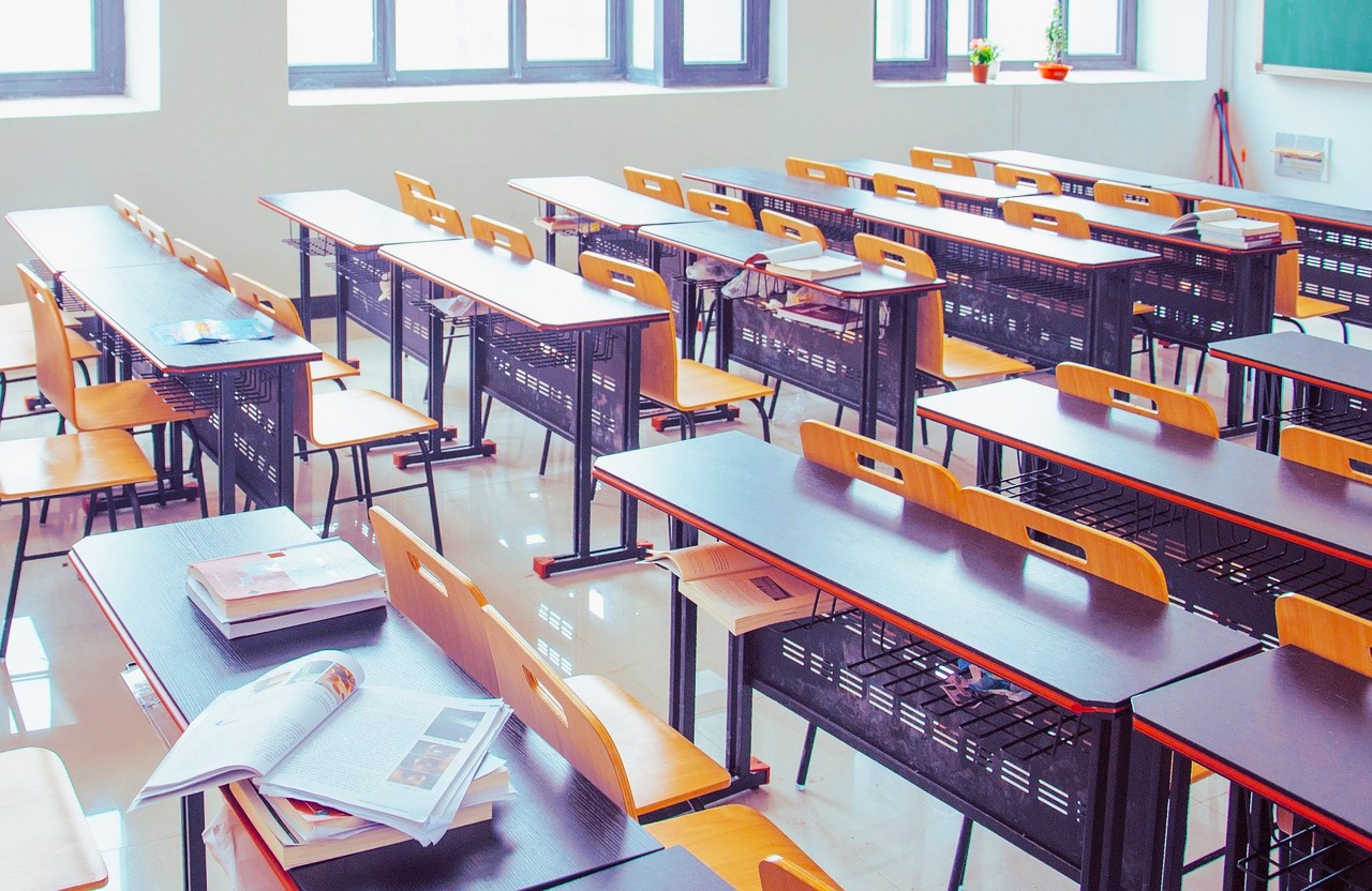 IȘJ TULCEA: 58 de clase a IX-a, învățământ liceal de zi, distribuite pe filierele teoretică, tehnologică (inclusiv dual) și vocațională