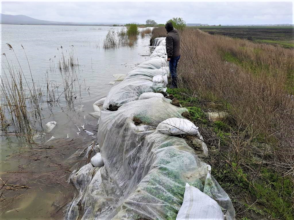 TULCEA: Digurile cele mai vulnerabile de la Dunăre, inspectate de autorităţi