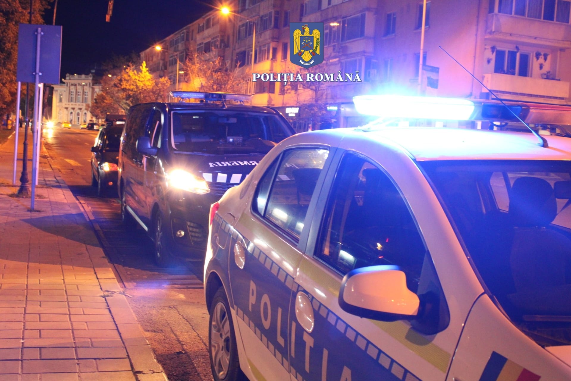 CONSTANȚA, TULCEA: Razii ale polițiștilor și jandarmilor