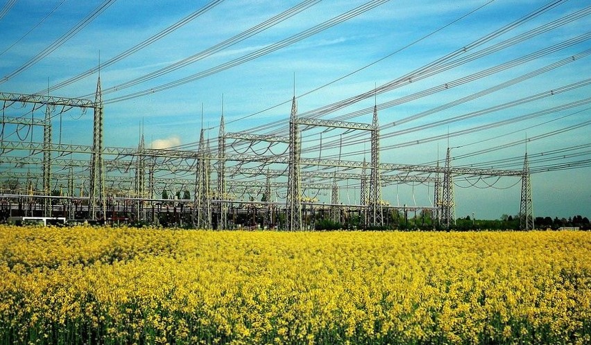 TULCEA: O nouă linie electrică aeriană între staţiile Isaccea şi Tulcea Vest