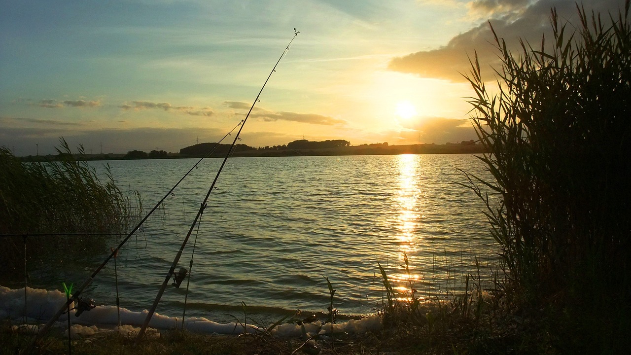 Vreme însorită și temperaturi de vară, în Dobrogea și pe litoral