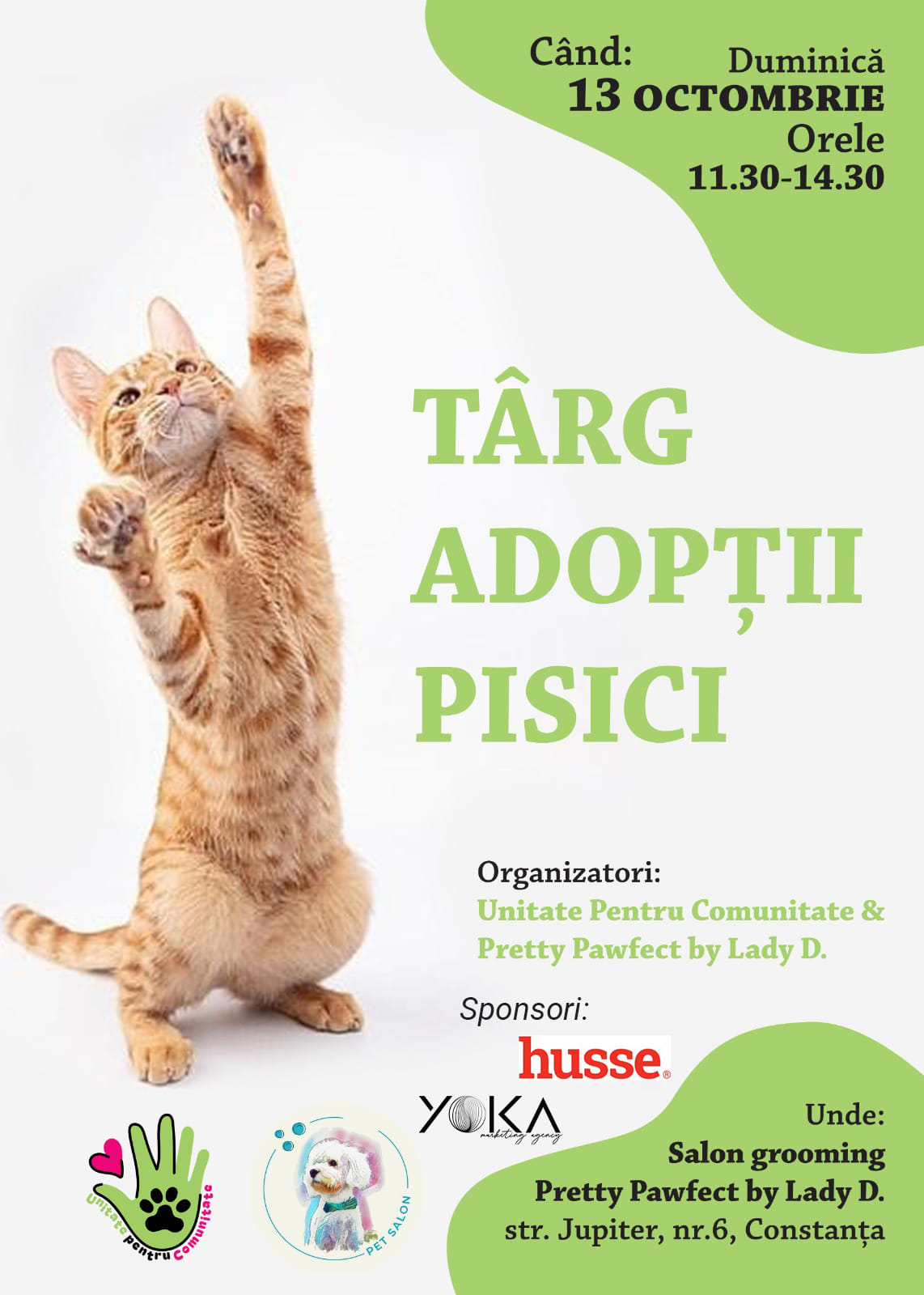 Un târg de adopții pisici are loc pe 13 octombrie, în Constanța