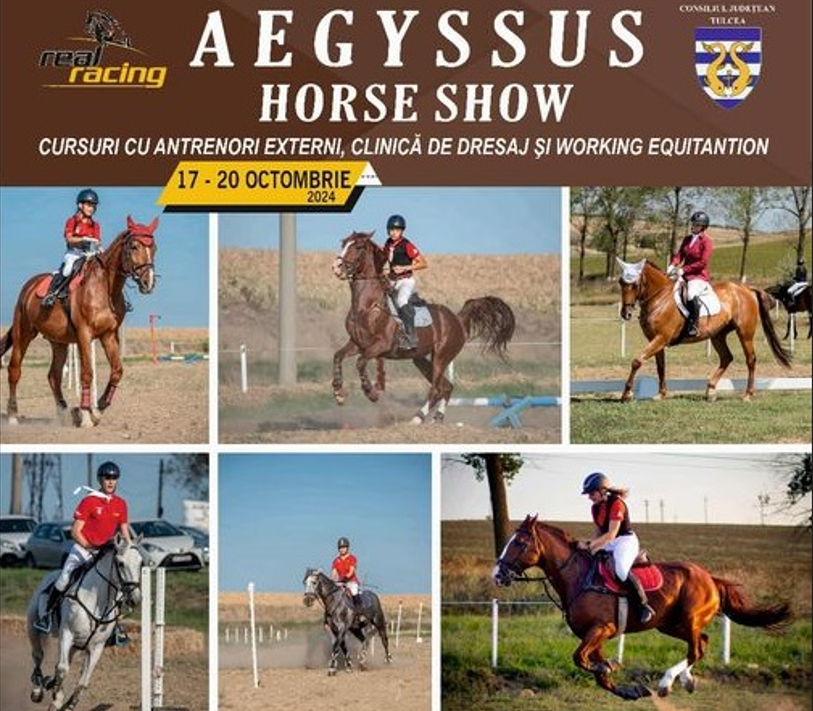 TULCEA: Concursul „Aegyssus Horse Show” 2024