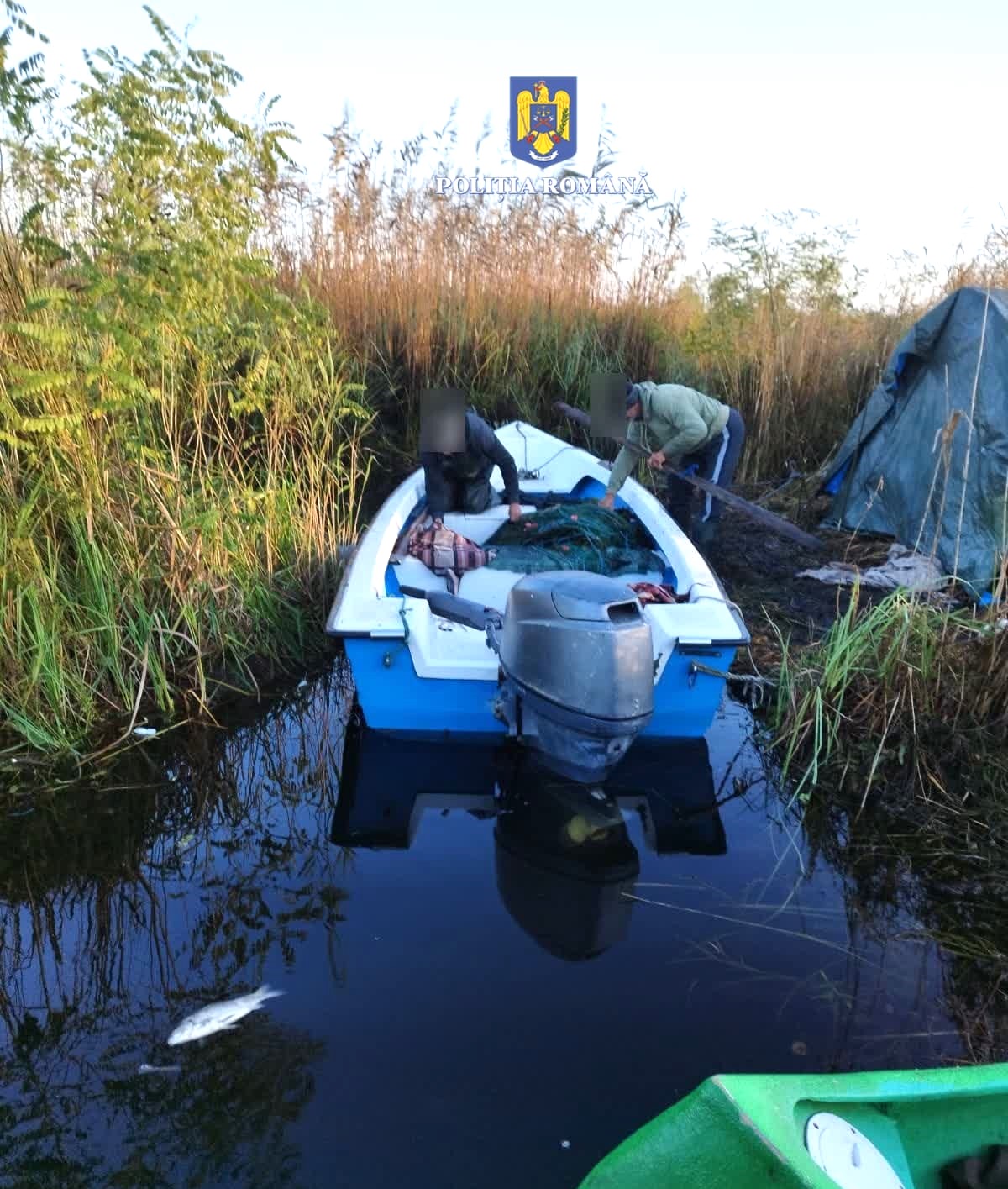 SULINA: Bărbați cercetați pentru braconaj piscicol