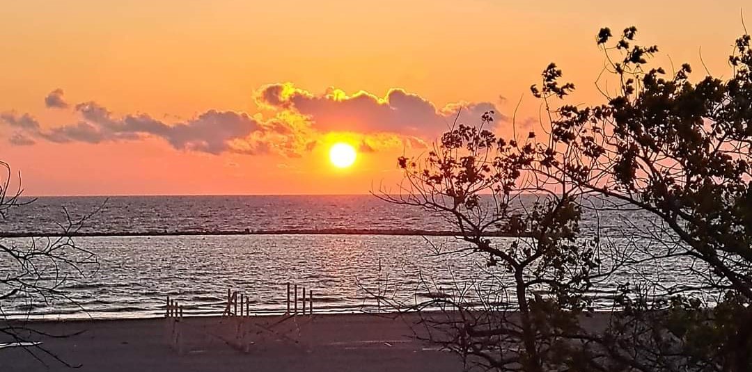 Vremea se încălzește în Dobrogea