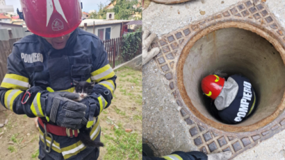 TULCEA: O pisicuță cât o palmă a fost salvată de pompieri
