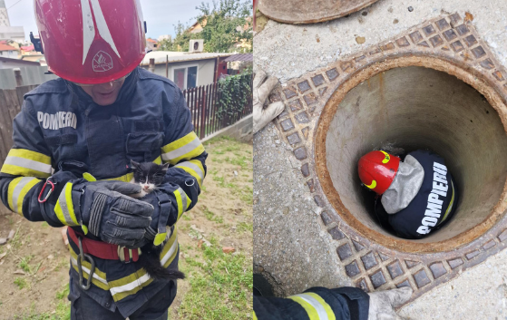 TULCEA: O pisicuță cât o palmă a fost salvată de pompieri