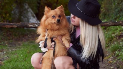 Care sunt drepturile și obligațiile legale ale deținătorilor de animale de companie