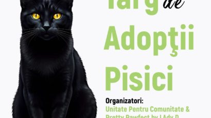 Al treilea Târg de adopții pisici va avea loc la Constanța