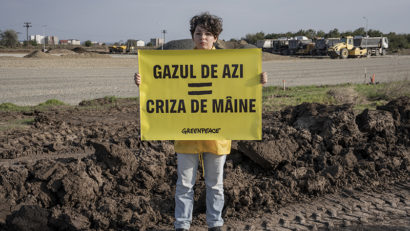 Greenpeace România anunță prima victorie în instanță împotriva Neptun Deep