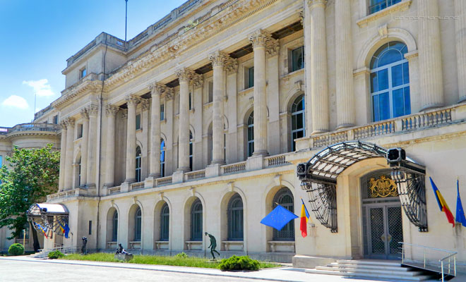Camelia Potec și David Popovici au primit diplome de excelență la Palatul Regal