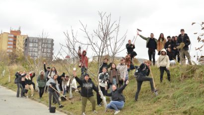 CONSTANȚA: Acțiune de ecologizare a spațiilor verzi din campusul universitar realizată de studenții Facultății de Științe ale Naturii și Științe Agricole