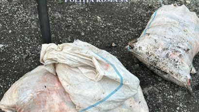 Constănțean prins la volan fără permis și cu mașina plină de pește fără documente legale