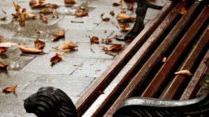 ANM: Vreme de toamnă, cu ploi în unele regiuni, lapoviță și ninsoare în zona montană înaltă, în următoarele două săptămâni