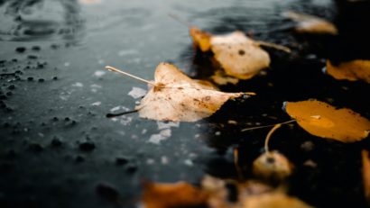 Vreme închisă în Dobogea. Regiunea se află sub informare meteorologică de precipitații moderate cantitativ