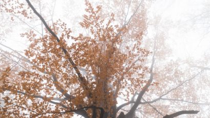 Vreme închisă, dar caldă, astăzi, în Dobrogea