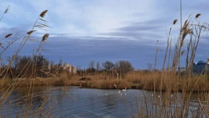Vremea în Dobrogea se menține închisă, dar se încălzește ușor