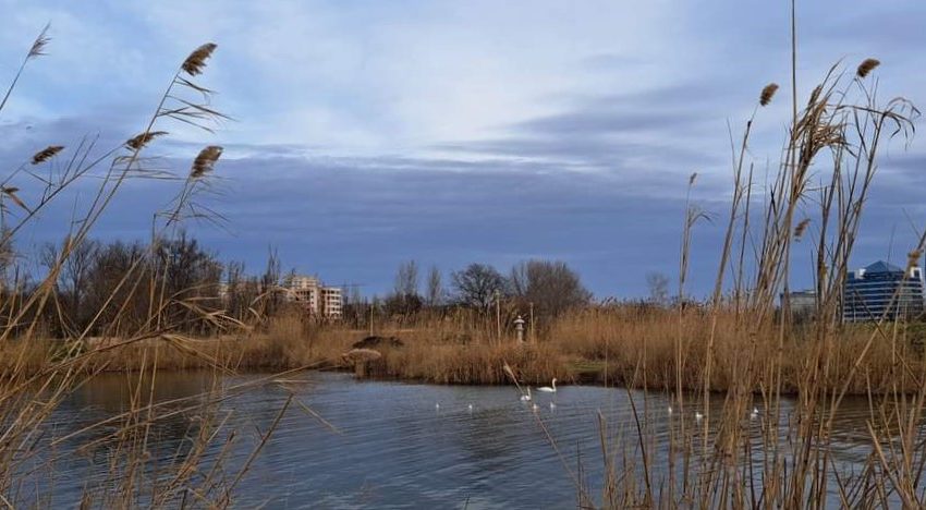 Vremea în Dobrogea se menține închisă, dar se încălzește ușor