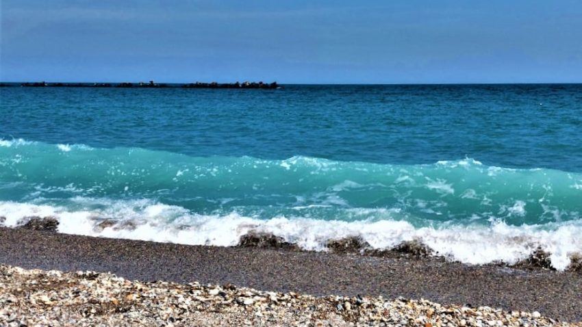 ANAR: Rezultatele licitației pentru închirierea perimetrelor din spațiul maritim, în vederea cultivării resurselor acvatice